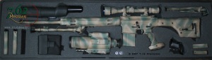 AR-10 Sniper Rifle in Case