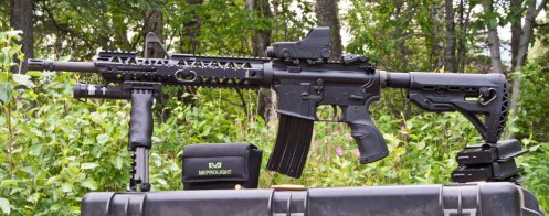 Colt LE carbine Mepro Tru-Dot RDS sight